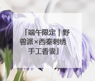 端午限定｜野兽派×西秦刺绣手工香囊