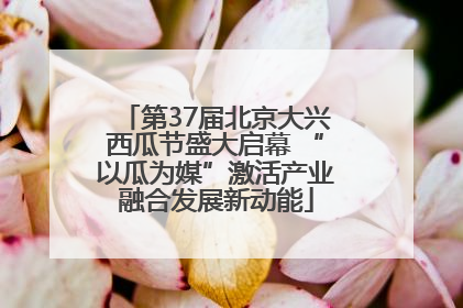 第37届北京大兴西瓜节盛大启幕 “以瓜为媒”激活产业融合发展新动能