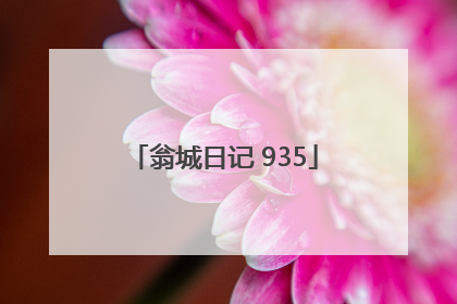 翁城日记 935