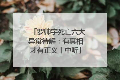 罗帅宇死亡六大异常待解：有真相才有正义丨中听
