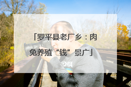 罗平县老厂乡：肉兔养殖“钱”景广
