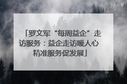 罗文军“每周益企”走访服务：益企走访暖人心 精准服务促发展