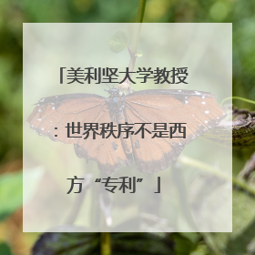 美利坚大学教授：世界秩序不是西方“专利”