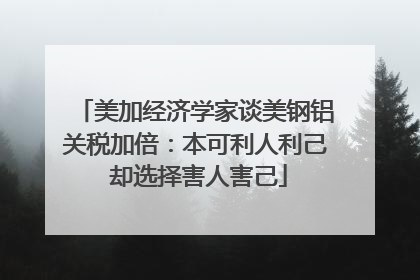 美加经济学家谈美钢铝关税加倍：本可利人利己 却选择害人害己