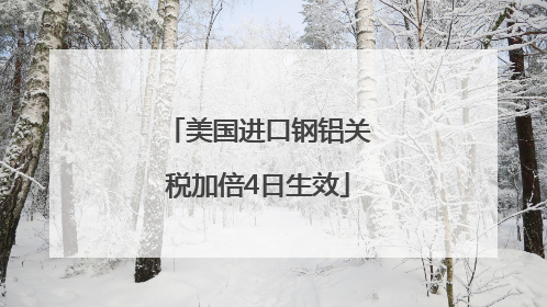 美国进口钢铝关税加倍4日生效