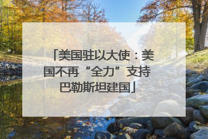 美国驻以大使：美国不再“全力”支持巴勒斯坦建国
