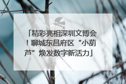 精彩亮相深圳文博会！聊城东昌府区“小葫芦”焕发数字新活力
