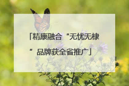 精康融合“无忧无棣”品牌获全省推广