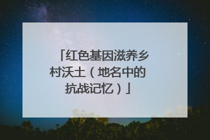 红色基因滋养乡村沃土（地名中的抗战记忆）
