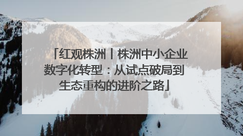 红观株洲丨株洲中小企业数字化转型：从试点破局到生态重构的进阶之路