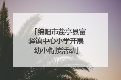 绵阳市盐亭县富驿镇中心小学开展幼小衔接活动