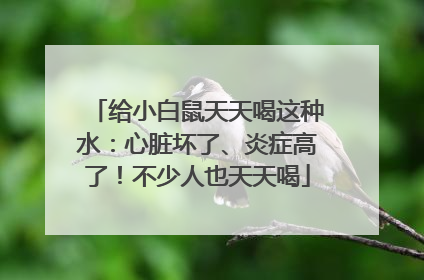 给小白鼠天天喝这种水：心脏坏了、炎症高了！不少人也天天喝