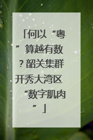 何以“粤”算越有数？韶关集群开秀大湾区“数字肌肉”