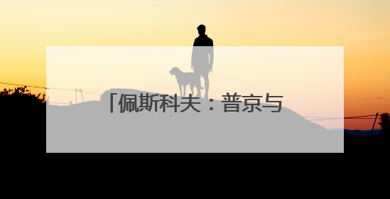 佩斯科夫：普京与特朗普尚未就会面事宜达成任何协议