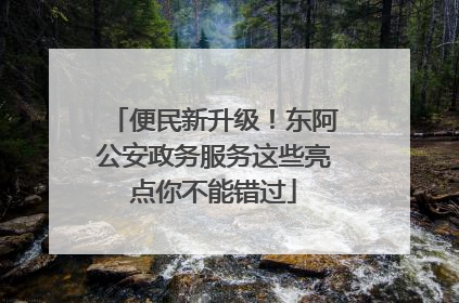 便民新升级！东阿公安政务服务这些亮点你不能错过