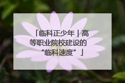 临科正少年｜高等职业院校建设的“临科速度”