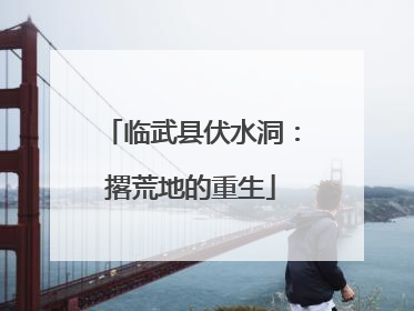临武县伏水洞：撂荒地的重生