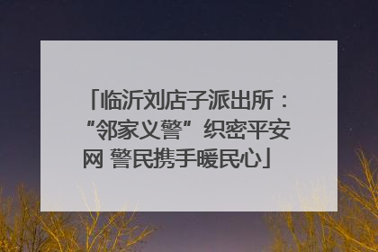 临沂刘店子派出所：“邻家义警”织密平安网 警民携手暖民心