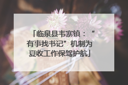 临泉县韦寨镇：“有事找书记”机制为夏收工作保驾护航