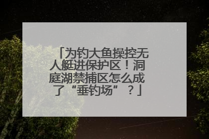 为钓大鱼操控无人艇进保护区！洞庭湖禁捕区怎么成了“垂钓场”？