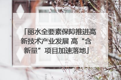 丽水全要素保障推进高新技术产业发展 高“含新量”项目加速落地