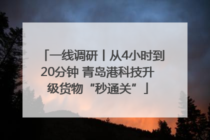 一线调研丨从4小时到20分钟 青岛港科技升级货物“秒通关”