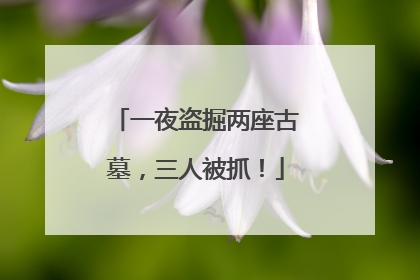 一夜盗掘两座古墓，三人被抓！