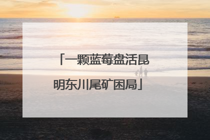 一颗蓝莓盘活昆明东川尾矿困局