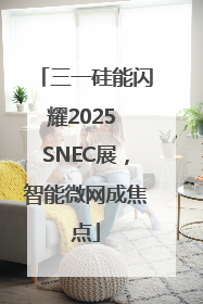 三一硅能闪耀2025 SNEC展，智能微网成焦点