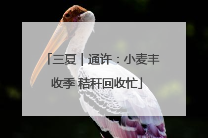 三夏｜通许：小麦丰收季 秸秆回收忙