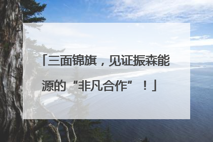 三面锦旗，见证振森能源的“非凡合作”！