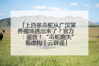 上百条毒蛇从广汉某养殖场逃出来了？官方：谣言！“毒蛇跑失”系虚构丨云辟谣