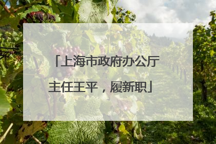 上海市政府办公厅主任王平，履新职