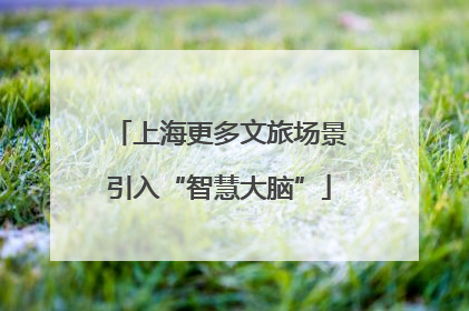 上海更多文旅场景引入“智慧大脑”