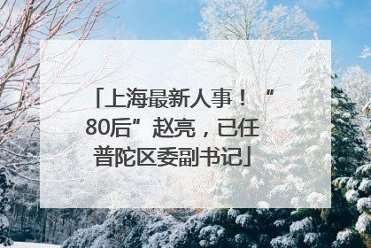 上海最新人事！“80后”赵亮，已任普陀区委副书记