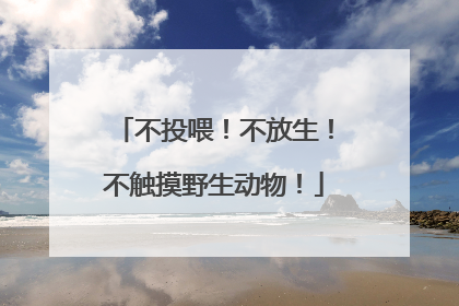 不投喂！不放生！不触摸野生动物！