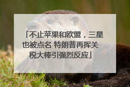 不止苹果和欧盟，三星也被点名 特朗普再挥关税大棒引强烈反应