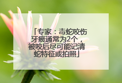 专家：毒蛇咬伤牙痕通常为2个，被咬后尽可能记清蛇特征或拍照