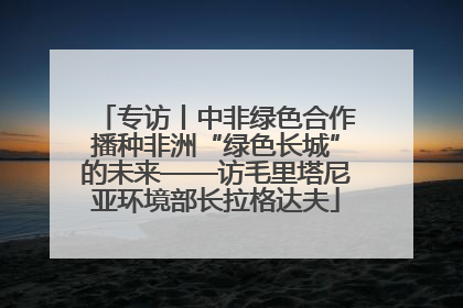 专访丨中非绿色合作播种非洲“绿色长城”的未来——访毛里塔尼亚环境部长拉格达夫