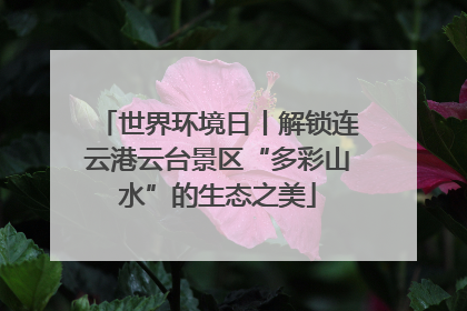 世界环境日丨解锁连云港云台景区“多彩山水”的生态之美