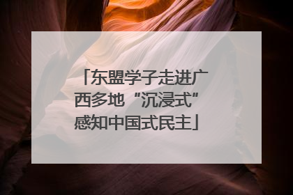 东盟学子走进广西多地“沉浸式”感知中国式民主