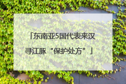 东南亚5国代表来汉寻江豚“保护处方”