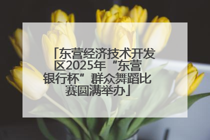 东营经济技术开发区2025年“东营银行杯”群众舞蹈比赛圆满举办
