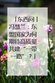 东西问丨冯慧兰：东盟国家为何期待高质量共建“一带一路”？