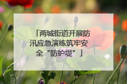 两城街道开展防汛应急演练筑牢安全“防护堤”