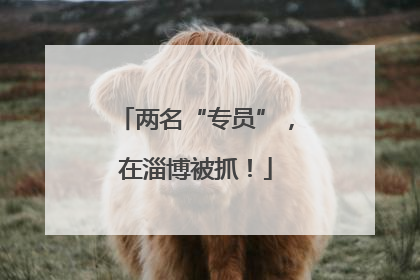 两名“专员”，在淄博被抓！