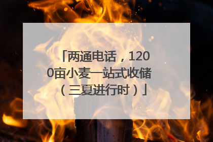 两通电话，1200亩小麦一站式收储（三夏进行时）
