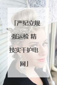 严纪立规强运检 精技实干护电网