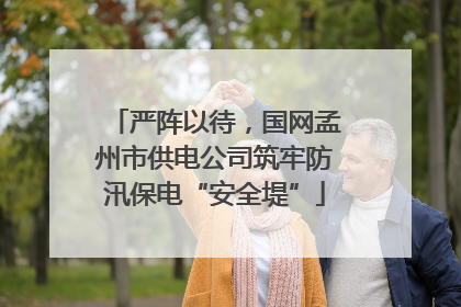 严阵以待，国网孟州市供电公司筑牢防汛保电“安全堤”
