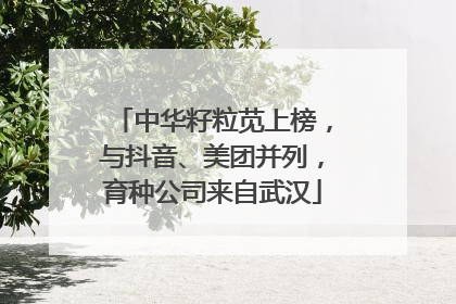 中华籽粒苋上榜，与抖音、美团并列，育种公司来自武汉